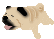 CyɂzB
